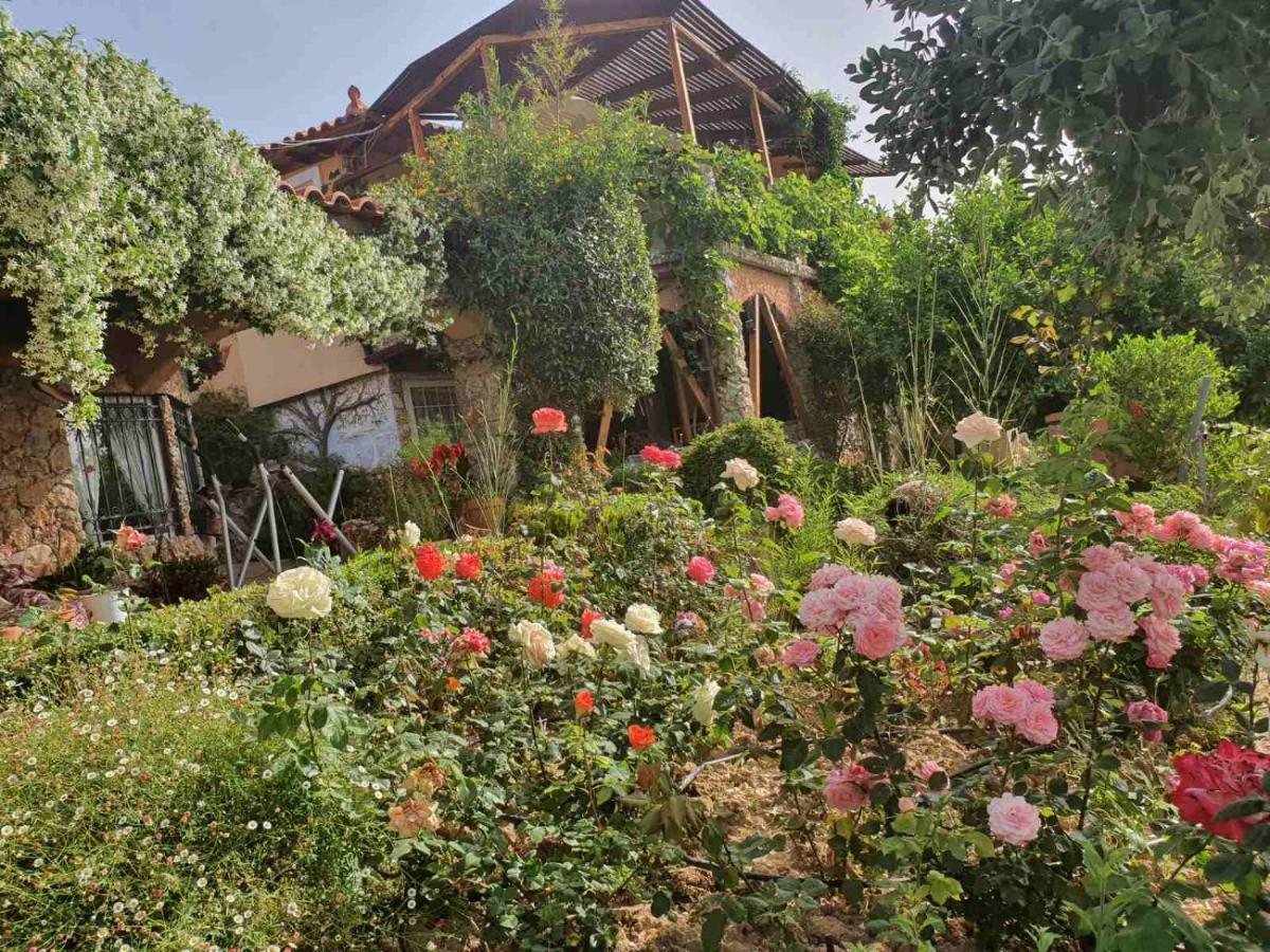 Nadia'S Traditional Greek House Anavyssos Luaran gambar