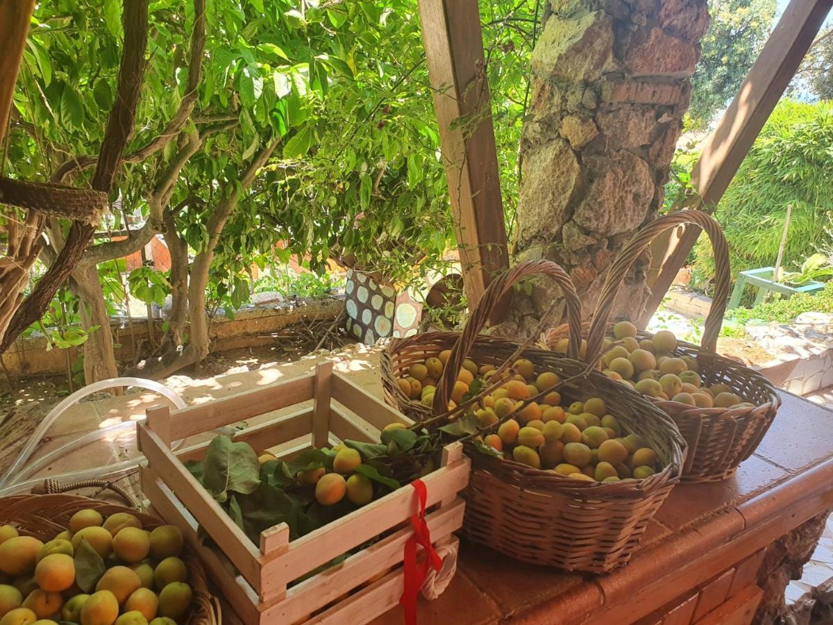 Nadia'S Traditional Greek House Anavyssos Luaran gambar