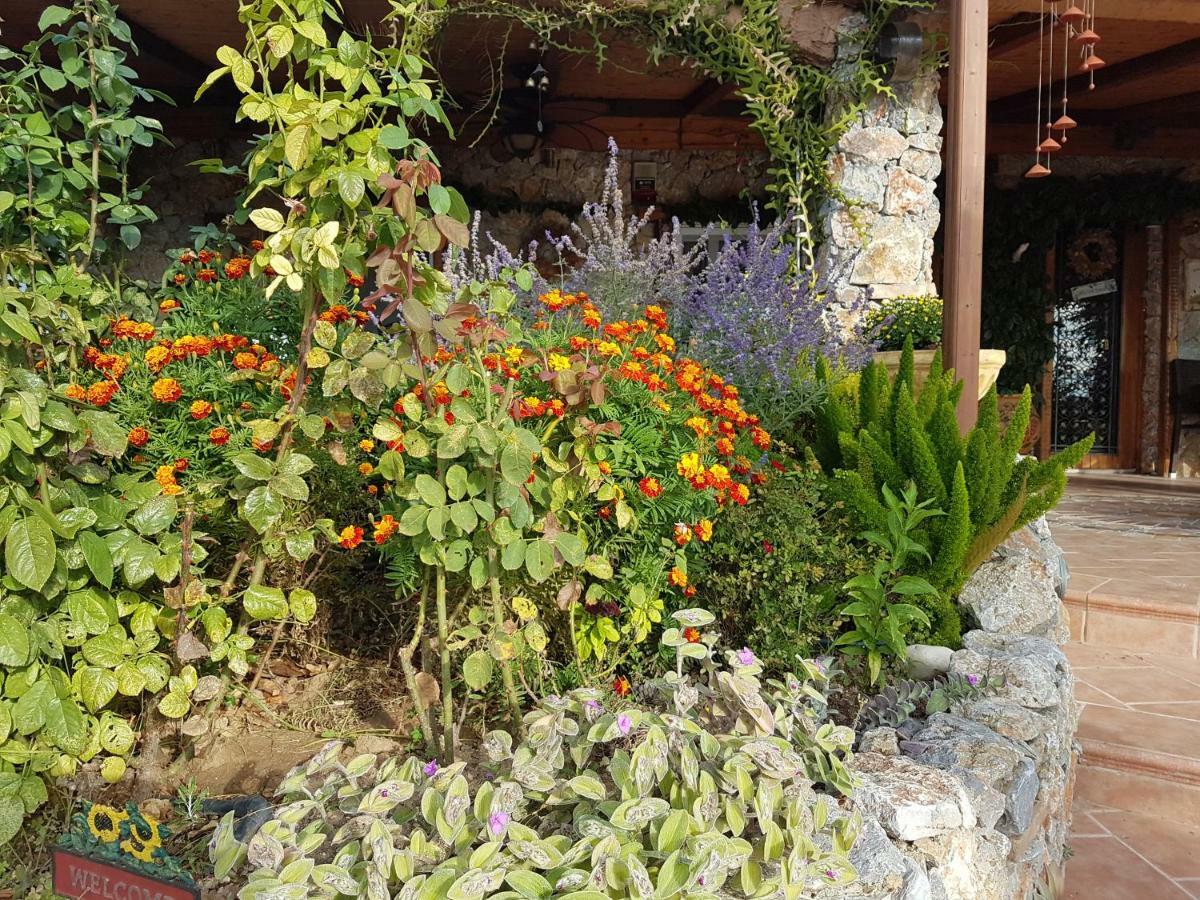 Nadia'S Traditional Greek House Anavyssos Luaran gambar