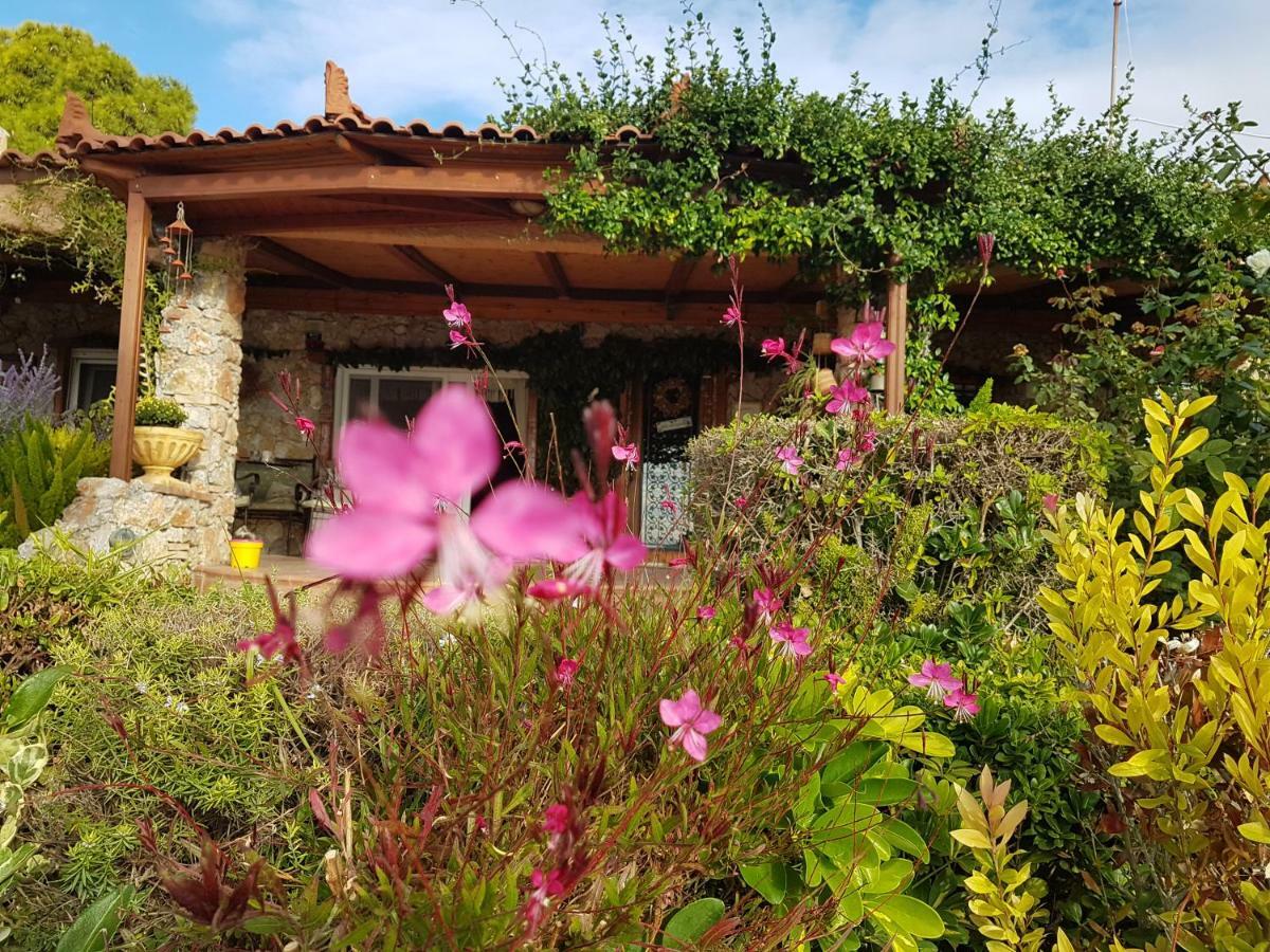 Nadia'S Traditional Greek House Anavyssos Luaran gambar