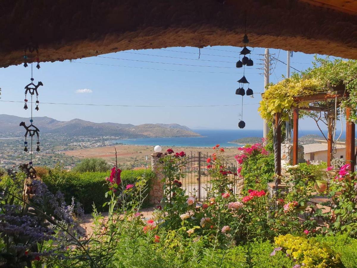 Nadia'S Traditional Greek House Anavyssos Luaran gambar