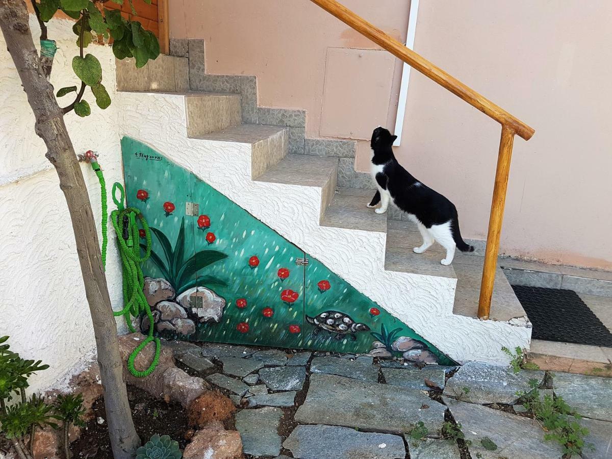 Nadia'S Traditional Greek House Anavyssos Luaran gambar